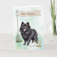 Raza De Perro Schipperke Al Aire Libre Bajo Rótulo