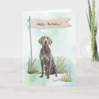 Raza De Perro Weimaraner Al Aire Libre Bajo Rótulo