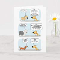 Razas de perro ricas y divertidas muestran cumplea