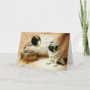 Tarjeta RCA Pug