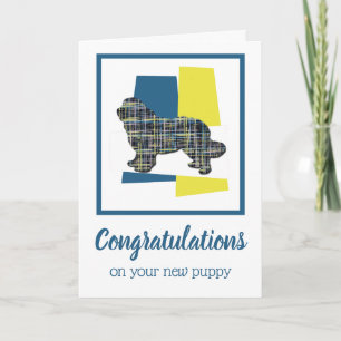 Tarjeta Recibiendo felicitaciones de perro porcino de Terr