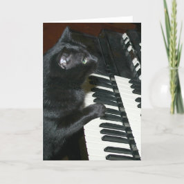 Tarjeta recital de órganos del gato
