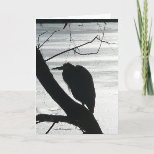 Tarjeta Reconocimiento de patrones