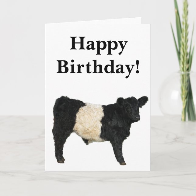 Tarjeta recortable de toro Belted Galloway precios (Anverso)