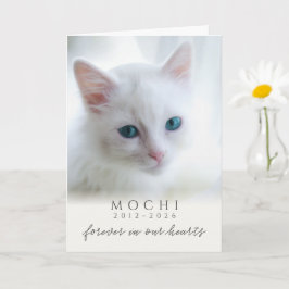 Tarjeta Recuerdo de gato por pérdida de mascota Cream Fore