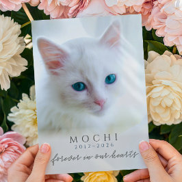 Tarjeta Recuerdo de gato por pérdida de mascota para siemp