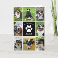 Recuerdo Personalizado de Mascota Collage de Perro