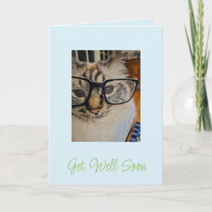 Tarjeta Recuperación Rápida Gato