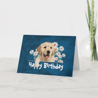 Recuperador de oro de cumpleaños sobre cuero azul