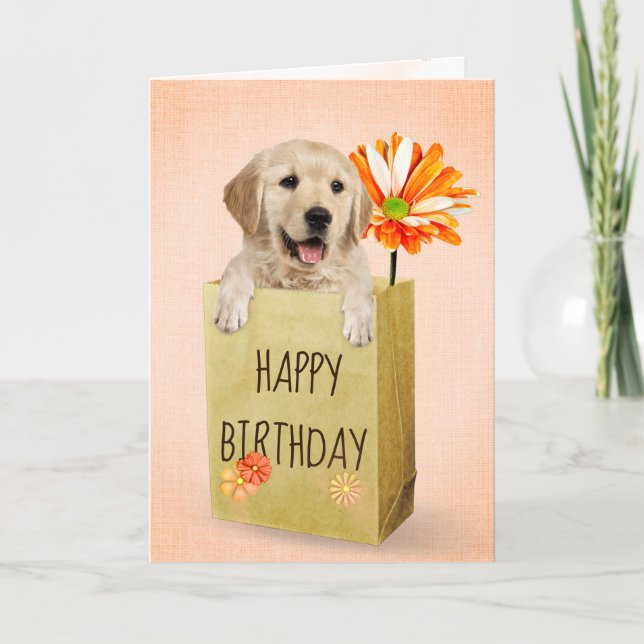 Tarjeta Recuperador de oro en bolsa de cumpleaños (Anverso)