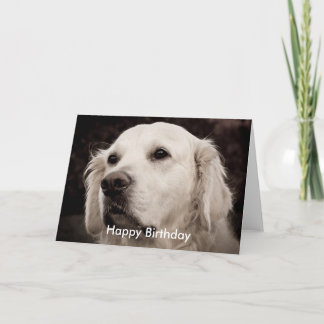 Tarjeta Recuperador - Dorado