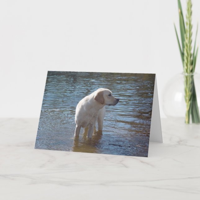 Tarjeta Recuperadora De Labrador En El Lago (Anverso)