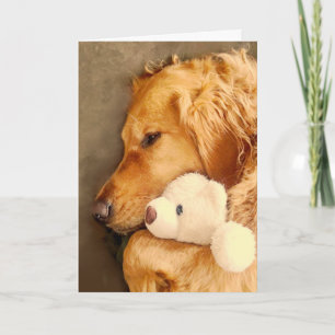 Tarjeta Recupérate Lindo Triste Perro de raza Retriever Do