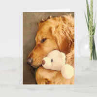 Recupérate Lindo Triste Perro Retriever Dorado Mas