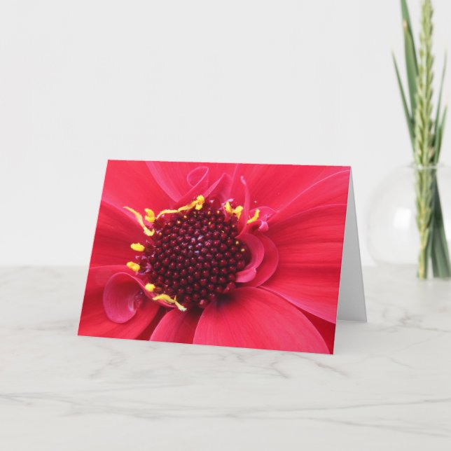 Tarjeta Red Dahlia Close-up (Anverso)