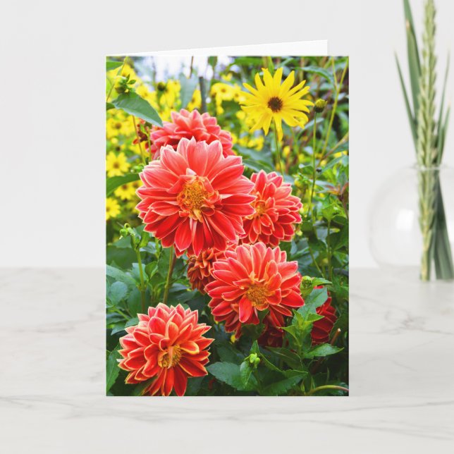 Tarjeta Red Dahlias (Anverso)
