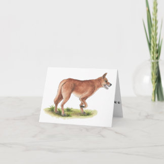 Tarjeta Red Fox Blank Note Card