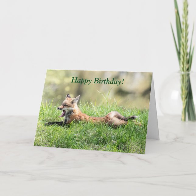 Tarjeta Red Fox Kit (Anverso)