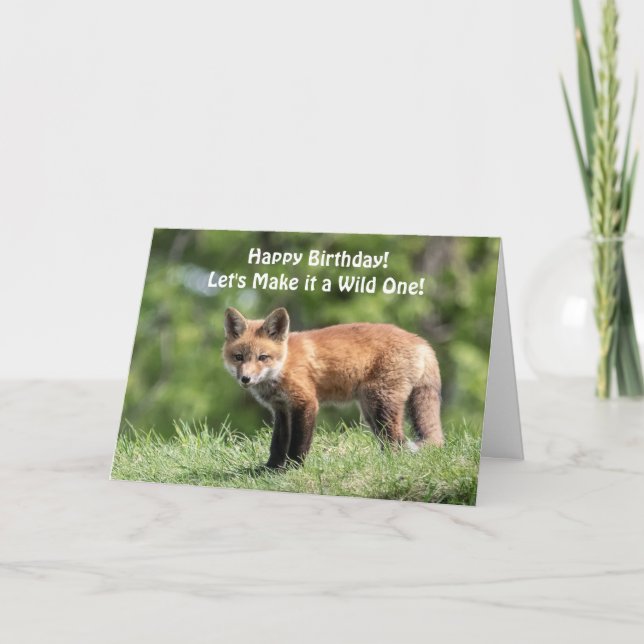 Tarjeta Red Fox Kit (Anverso)