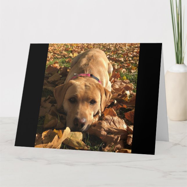 Tarjeta Red Fox Labrador Sat En Otoño Deja Saludos (Anverso)