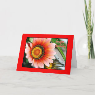 Tarjeta Red Gazania Happy Birthday