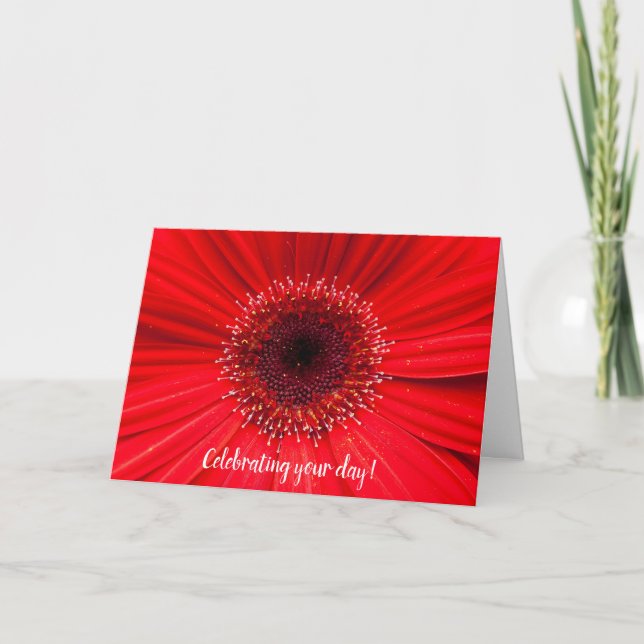 Tarjeta Red Gerbera Daisy por cumpleaños (Anverso)