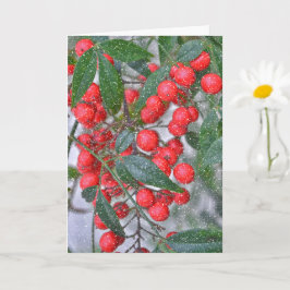 Tarjeta Red Holly Berry Branch y Navidades de vacaciones d