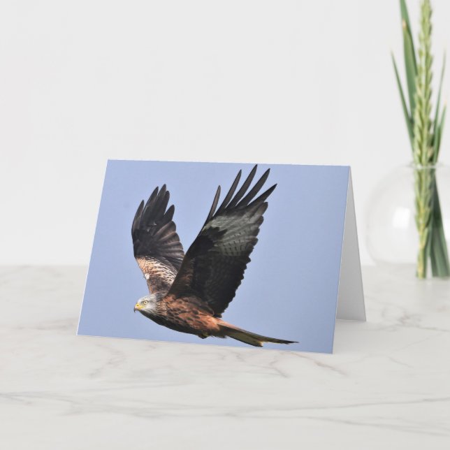 Tarjeta Red Kite (Anverso)