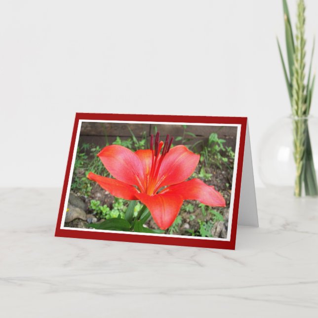 Tarjeta Red Lilie 1 (Anverso)