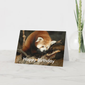 Tarjeta Red Panda