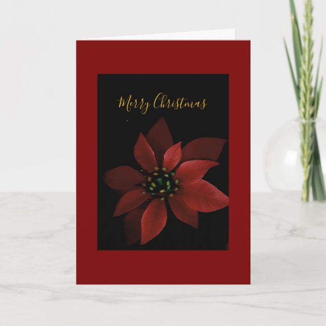 Tarjeta Red Poinsettia Merry Christmas  (Anverso)