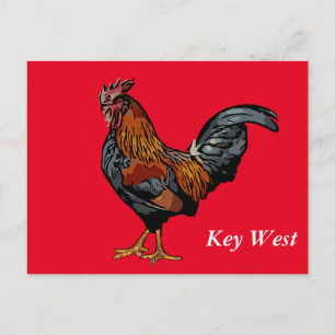 Tarjeta Red Rooster Key West Post