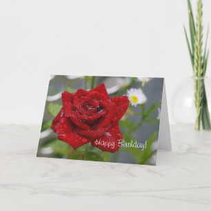 Tarjeta Red Rose Bud
