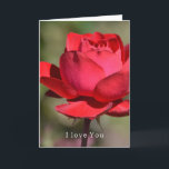 Tarjeta Red Rose Garden Love (my photography)<br><div class="desc">Red Roses Garden I Love You
inside card: with all my heart</div>