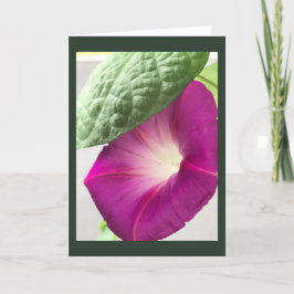 Tarjeta Red-Violet Morning Glory Blank
