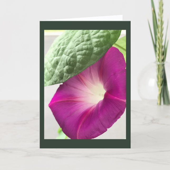 Tarjeta Red-Violet Morning Glory Blank (Anverso)