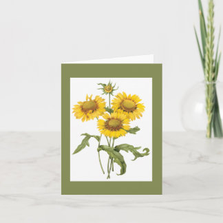 Tarjeta Redoute Blanket Flower Notecard