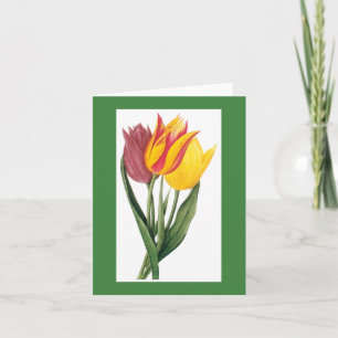 Tarjeta Redoute Tulip Notecard