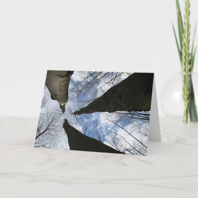 TARJETA REDREAMING:OBSERVAR (Anverso)