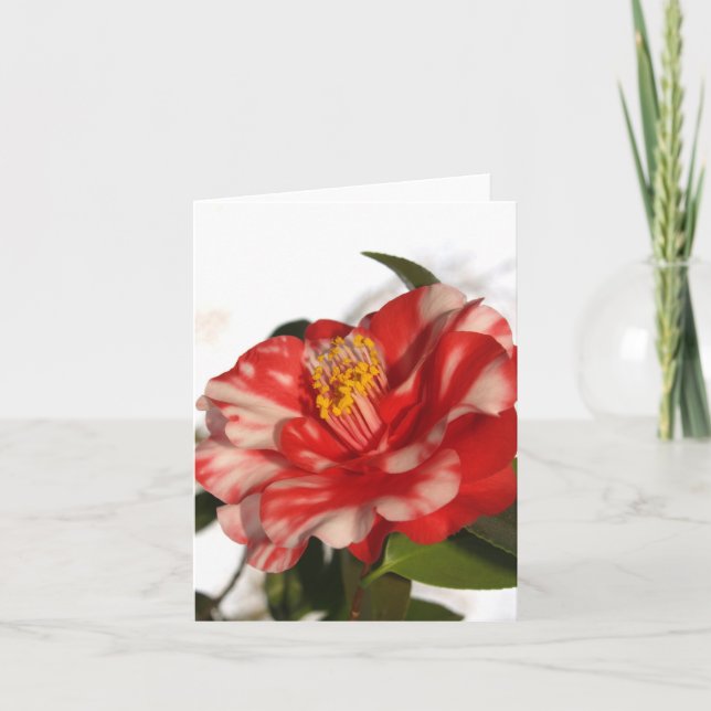 Tarjeta redwhitecam (Anverso)