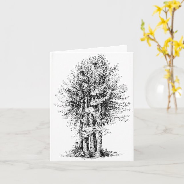 Tarjeta Redwoods Notecard (flor amarilla)
