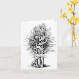 Tarjeta Redwoods Notecard