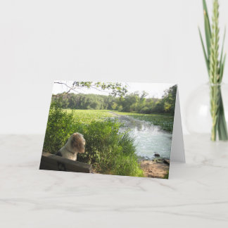 Tarjeta reflectora de Emma