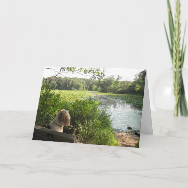 Tarjeta reflectora de Emma (Anverso)