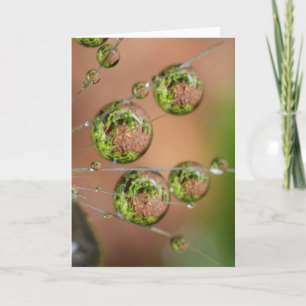 Tarjeta Reflejo de gotas de agua