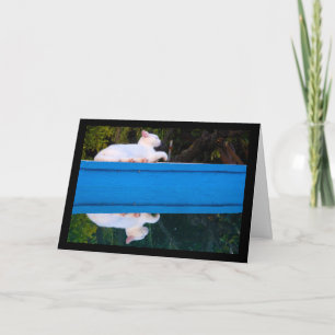 Tarjeta Reflejo de un gato blanco