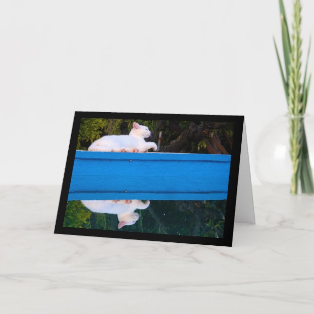 Tarjeta Reflejo de un gato blanco (Anverso)