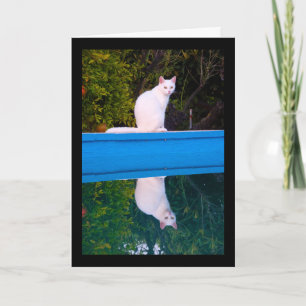 Tarjeta Reflejo de un retrato de gato blanco