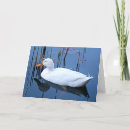 Tarjeta Reflexión del Pato Blanco Durmiente