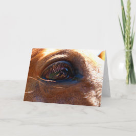 Tarjeta Reflexión en el ojo de caballo